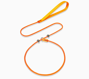 Cadena de entrenamiento para perros P delgada de grado competitivo Correa para mascotas pequeñas y medianas para paseos con perros pequeños y medianos - Product Image 1