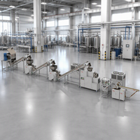 Machine de fabrication de savon en barre à petite échelle, idéale pour le savon artisanal, le savon à base d'huile de palme pour le lavage de voitures et le savon à base de nouilles