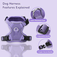 Harnais et laisse pour chien en maille respirante rembourrée, production rapide sur mesure, bandes de sécurité réfléchissantes avec laisse de couleur assortie pour