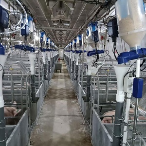 Precision <strong>Automatic</strong> Piglet <strong>Feeder</strong> for Sale | <strong>Programmable</strong> Feed Quantity, Efficient &amp; Labor-Saving for Pig Farms - Product Image 6
