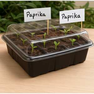 Mini Bandeja de Plástico Reutilizable para Plántulas con Tapa, 72 Celdas, Kit de Propagación para Plantas y Vegetales - Product Image 2