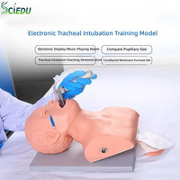 Maniquí de Entrenamiento para Intubación Traqueal Electrónica SCIEDU, Modelo de Ayuda Didáctica, Simulador de Enfermería para Entrenamiento Médico
