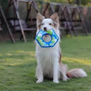 Mainan Gigit anjing cakram terbang Logo kustom mainan Chew Ahan anjing latihan luar ruangan