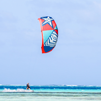 SP1606 FREE FLIGHT Offre Spéciale Nouveaux Kites de Surf et Sports Nautiques Extérieurs 10m-14m pour Kiteboarding et Kitesurfing