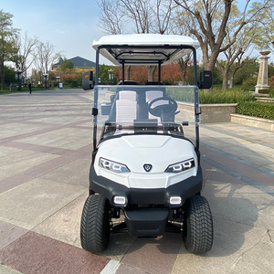 Voiture de <span class=keywords><strong>golf</strong></span> électrique ZYCAR, cadre en aluminium multifonctionnel, suspension indépendante, avec compteur <span class=keywords><strong>professionnel</strong></span> - Product Image 3