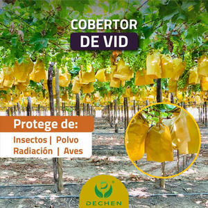 Custom Grape <strong>Protection</strong> <strong>Bags</strong> Manufacturers: <strong>Fruit</strong> Cover <strong>Bag</strong> Price Wholesale In Peru Chile - Product Image 5