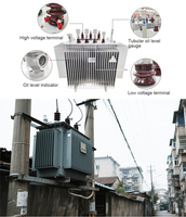 Transformateur immergé dans l'huile haute efficacité de 315 kVA à 1500 kVA, 33 kV 0,4 kV, pour les systèmes électriques industriels et commerciaux africains