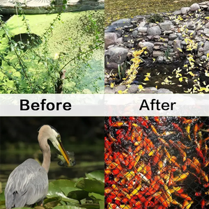 ตาข่ายกันใบไม้สำหรับบ่อปลาและเลี้ยงนก ทำจากพลาสติก HDPE สีดำ พร้อมบริการตัดตามขนาด และป้องกันความปลอดภัย - Product Image 4