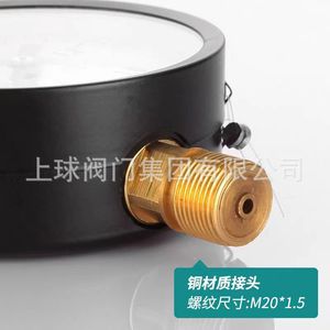 Manomètre Hangzhou Fuyang Hongsheng Y100 1,6 MPa en acier pour réservoir d'air radial et mesure de pression d'eau - Product Image 2