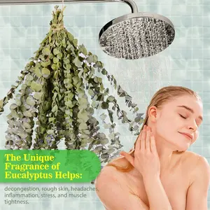 منتج جديد ، أوراق الأوكالبتوس الطبيعية المجففة ، الخضرة 30 ، سيقان نبات الأوكالبتوس المحفوظة للاستحمام