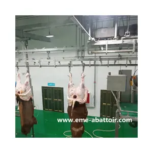 Professional Supplier 50-300 Cattle Abattoir Equipment Beef Slaughter Processing Plant