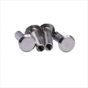 Rivets semi-tubulaires en acier inoxydable 304, tête conique plate, tailles personnalisables, norme ISO, finition brillante, marque SaiTong pour - Product Image 3