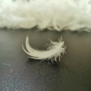 2022批发高品质<span class=keywords><strong>IDFL</strong></span>认证水洗2-4厘米白鹅羽毛 - Product Image 4