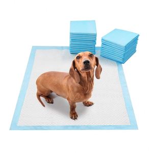Almohadillas de Entrenamiento para Perros Desechables de Alta Absorbencia a Prueba de Fugas, Fabricante al por Mayor de Productos para Mascotas, OEM ODM, Precio Económico - Product Image 5