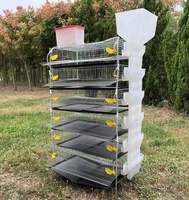 Cages à cailles de type H en treillis métallique de qualité supérieure pour la production d'œufs – Cages en batterie à 6 niveaux pour la vente