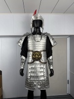 Ensemble d'armure lamellaire de guerrier chinois antique en argent, casque à plumes rouge de tranchée, costume complet pour homme, LARP, cosplay, Halloween, scène