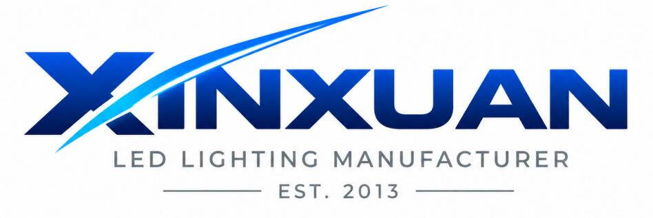 Shenzhen Xinxuan Technology Co., Ltd. logo