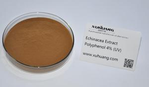 Cựu chiến binh nhà sản xuất của 4% hplc chicoric axit từ Echinacea chiết xuất - Product Image 4