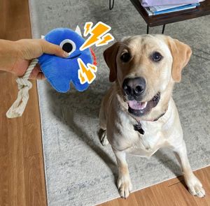 Wholesale <b>Plush</b> Dogs Chew Toy Cotton Rope Stuffed One-eyed Monster Cute Chew Toys Pet Supplier Interactive Decompression Toy - Product Image 2
