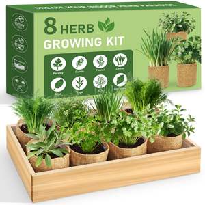 Kit de jardinage d'intérieur écologique à 8 herbes <span class=keywords><strong>pour</strong></span> débutants - Ensemble complet de culture sur le rebord de la fenêtre avec outils Cadeau unique <span class=keywords><strong>pour</strong></span> Noël et anniversaire - Product Image 1