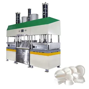 Biologisch Afbreekbaar Suikerriet Bagasse Tarwe Stro Papier Pulp Gegoten Servies Making Machine