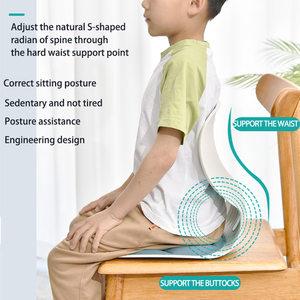 Chuyên nghiệp Ergonomic trở lại đệm có thể giặt ghế văn phòng tư thế Corrector với thắt lưng hỗ trợ bàn ghế Ghế đệm - Product Image 1