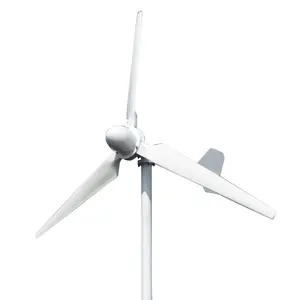 Schlussverkauf 1.000 W Wechselstrom 12 Volt Ökonomische 3-Klingen-Windmühle für Wind-Solar-Hybridsystem mit Windturbinengenerator-Steuerung
