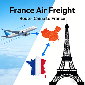 Agence de transport aérien porte-à-porte de Shenzhen vers l'Allemagne, l'Italie, la <span class=keywords><strong>France</strong></span>, livraison UPS disponible - Product Image 3