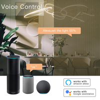 Module d'interrupteur variateur intelligent Tuya ZigBee 3.0 WiFi, contrôle sans fil via l'application Smartlife, prend en charge la conception à double sens