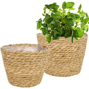 ตะกร้าปลูกหญ้าทะเลธรรมชาติสำหรับใช้ในอาคาร,ที่ครอบหม้อที่แขวนหญ้าทะเลทำในเวียดนาม - Product Image 6