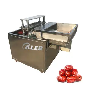 Heißer Verkauf 304 Edelstahl Dattel pflaumen kern Entfernen Sie Ausrüstung Automatische Kirsch kern Pitter Olive Date Core Pitting Machine