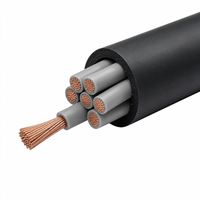 Cable Plano Flexible H05VVH6-F de PVC 450/750V para Elevadores y Sistemas de Transporte - 99.9% Cobre Libre de Oxígeno