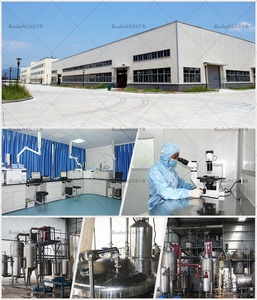 Nhà sản xuất cung cấp cỏ ba lá đỏ chiết xuất 20% cỏ ba lá đỏ Isoflavones bột - Product Image 4