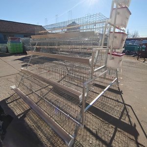 A-Type Laag Batterij Kooi Dierenkooien Gegalvaniseerd Staaldraad Duurzaam 3 Tiers 5 Deuren Huis Boerderij Gebruik 1 Jaar Garantie - Product Image 5