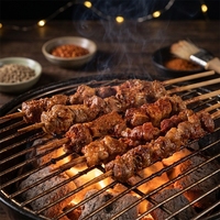 Poudre d'assaisonnement authentique au goût de poulet, cinq épices chinoises, qualité professionnelle pour chefs, mélange séché certifié ISO9001/BRC/HACCP