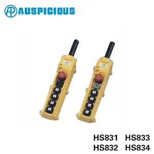 معدات رافعة رفع من سلسلة AUSPICIOUS H8 HSD في تايوان مع مصباح حماية IP65 LED زر دفع مفتاح أقصى تيار 5 أمبير