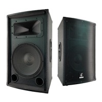 Modèle Économique Passif TT-12 Enceinte Unique de 12 Pouces Professionnel pour Système Audio, Enceinte Intérieure pour Conférences, Vente Rapide
