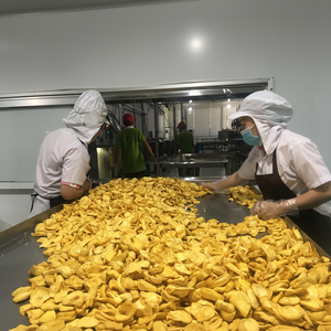 ขนุนแห้งกระบวนการอบแห้ง Vf ผลไม้กรอบสุญญากาศธรรมชาติไม่หวาน/ไม่หวานกระบวนการอบแห้ง - Product Image 1