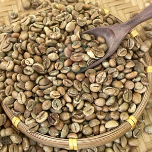 Ecran de grains de café vert Arabica du Vietnam 18 qualité supérieure naturelle pure exportation en vrac 24 mois de durée de conservation approvisionnement en gros - Product Image 1