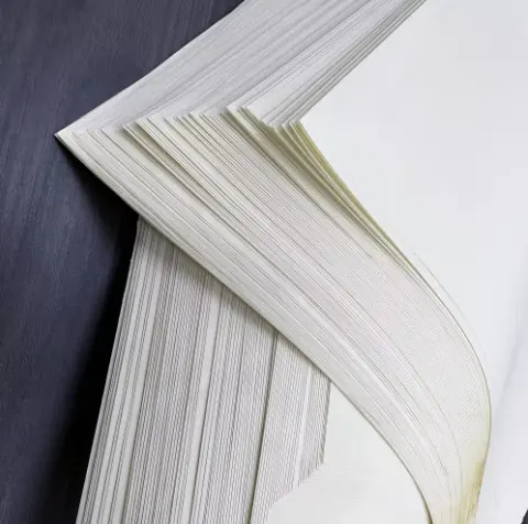 Papier sans bois Offre Spéciale en papier blanc de certificat de 50g 55g pour imprimer la bible