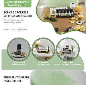 Ensemble d'huiles essentielles <span class=keywords><strong>de</strong></span> matières premières <span class=keywords><strong>de</strong></span> graines d'automne 6*10ML Huile parfumée à la vanille pour diffuseurs et fabrication <span class=keywords><strong>de</strong></span> bougies - Product Image 5