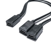 Cable adaptador hembra tipo C a doble hembra tipo C de 30 cm |   Hub USB C |   Salida de Corriente Continua |   Divisor de 5V 3A 15W |   Carga dos dispositivos |   Sin Datos