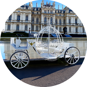 Carrosse de luxe en fer forgé avec citrouille pour mariages transport spécial à vendre - Product Image 6