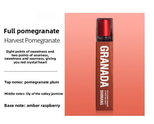 Vente en gros de mini-parfums originaux de 10 ml, ensembles de voyage, mini-parfums, déodorant corporel en roll-on, anti-transpirant, parfums pour femmes - Product Image 4