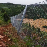 Barrière passive de protection de pente SNS de type RX, filet annulaire en câble d'acier galvanisé, soudé par découpe, 250-1000kJ, anti-chute de pierres