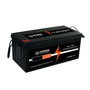 12 Volt 12v 24v 48v 100ah 200ah Bluetooth Bms Lipofe4 Lifepo4 Lithium Ion Marine Battery Batteries Pack With Bms