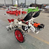 Transplanteur de semis de légumes multifonctionnel à quatre rangs à moteur diesel, adapté aux poivrons, aux tomates et aux légumes-feuilles