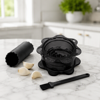 Presse-ail manuel, hachoir, écraseur, boîte à torsion avec éplucheur et brosse de nettoyage, ensemble d'outils de cuisine pour gingembre et piment