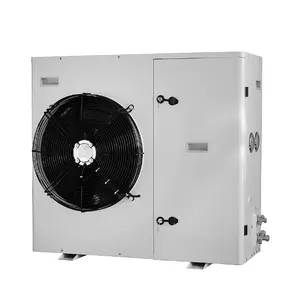 High Quality Cooling Systems Bitz Compressor Air Cooled Condensing Unit