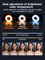 Anneau lumineux LED pliable rechargeable magnétique avec support de téléphone et miroir pour maquillage, vlog, photographie et vidéo